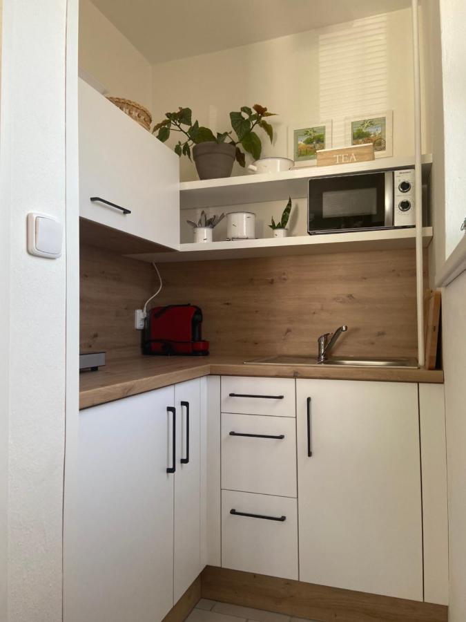 Apartman V Brezi المظهر الخارجي الصورة