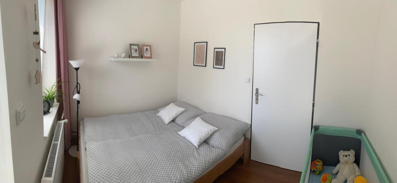 Apartman V Brezi المظهر الخارجي الصورة